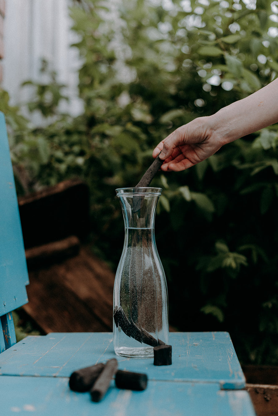 Binchotan - filtre à eau au charbon - Les Mauvaises Herbes