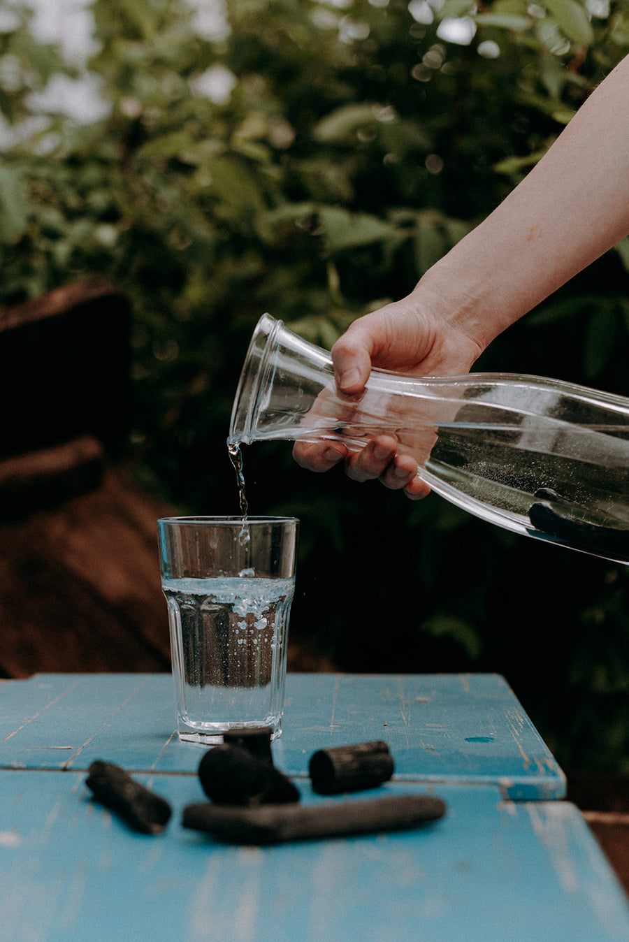 Binchotan - filtre à eau au charbon - Les Mauvaises Herbes