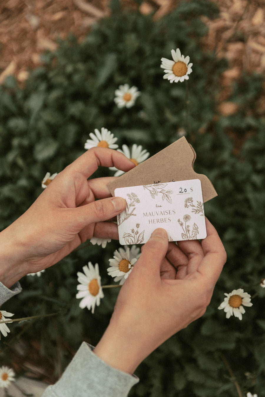 Carte-cadeau papier - Les Mauvaises Herbes