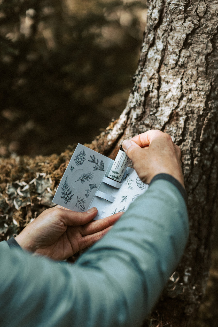 Onguent apaisant au plantain | Grand air - Les Mauvaises Herbes