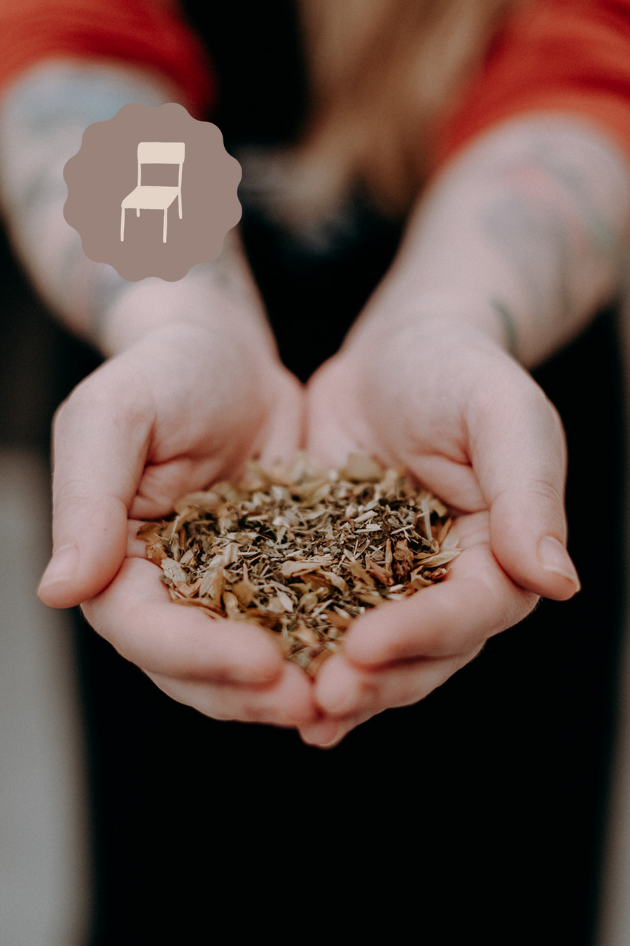 Soulager les maux d'hiver naturellement | Atelier-conférence - Les Mauvaises Herbes