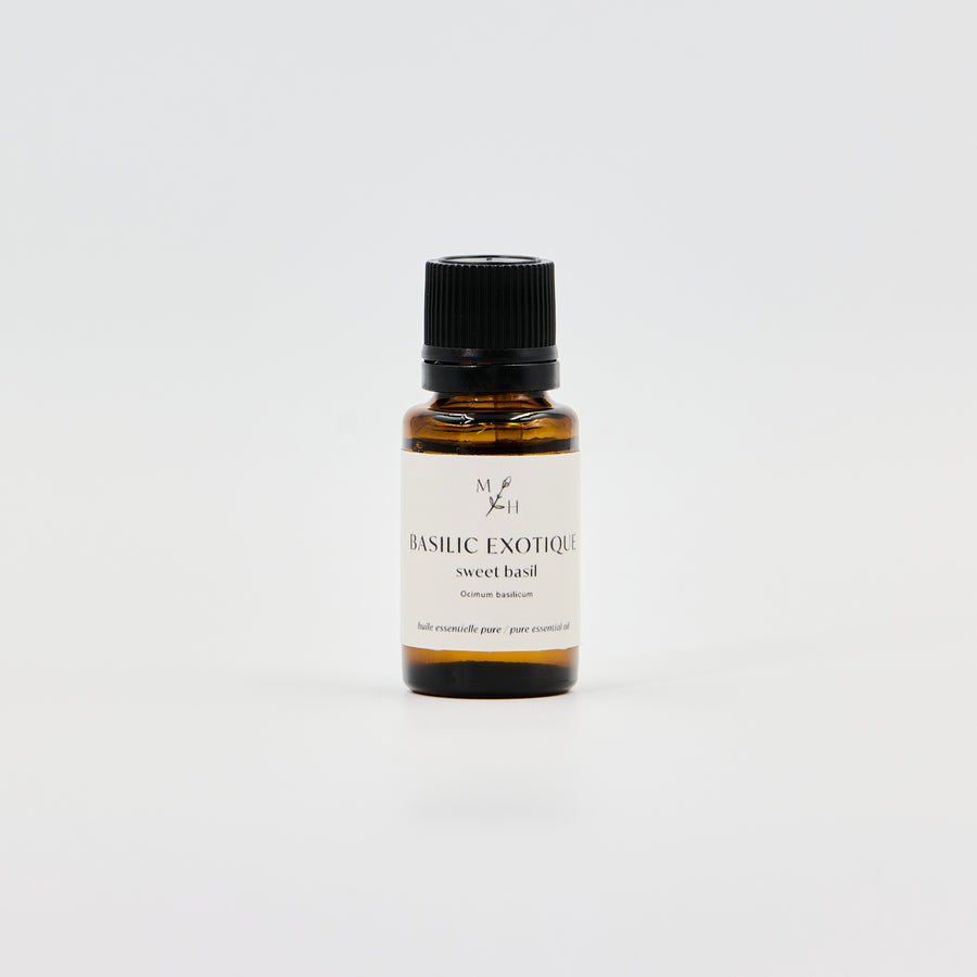 Basilic exotique - WHOLESALE - Les Mauvaises Herbes