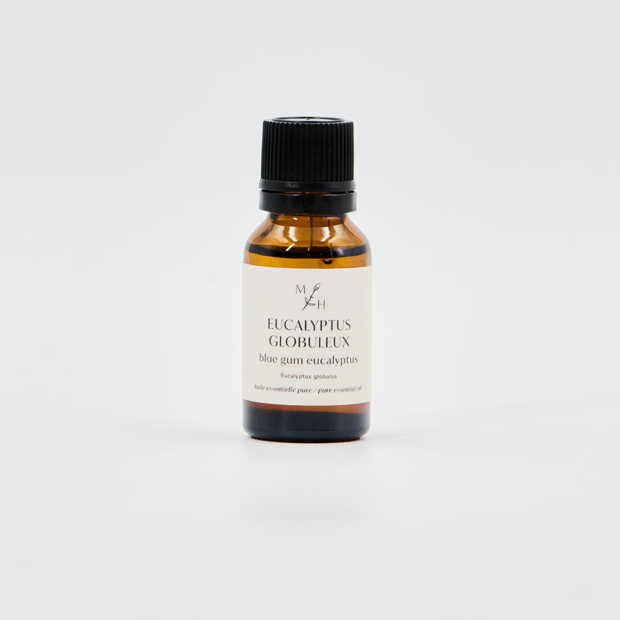 Eucalyptus globuleux - WHOLESALE - Les Mauvaises Herbes