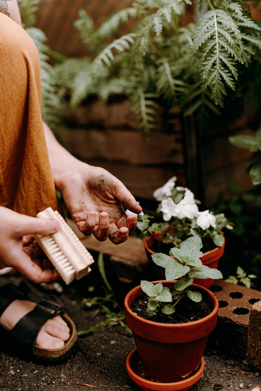 Brosse à ongles - Les Mauvaises Herbes