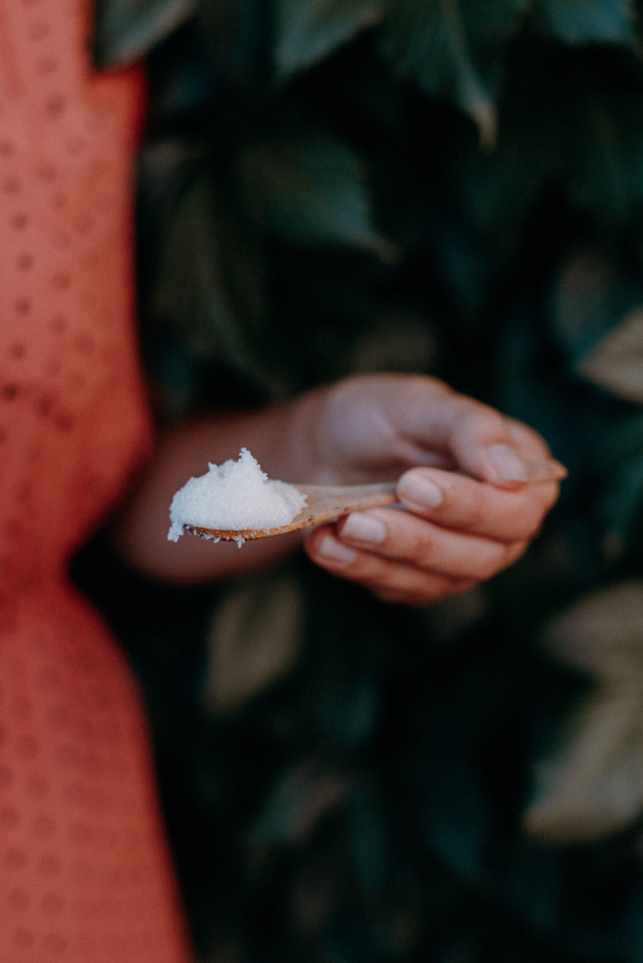 Beurre de karité - Les Mauvaises Herbes
