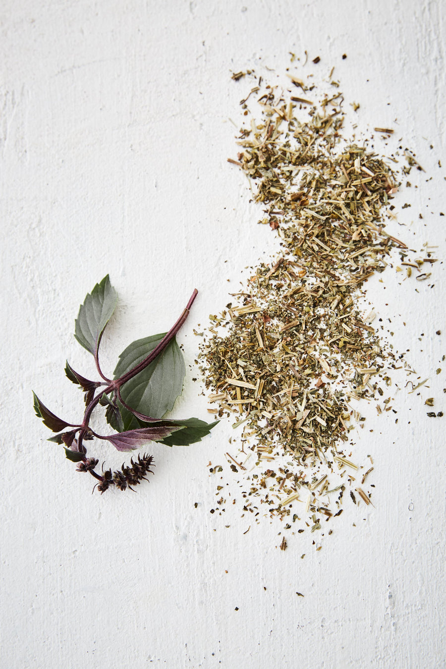 Basilic sacré bio - Les Mauvaises Herbes