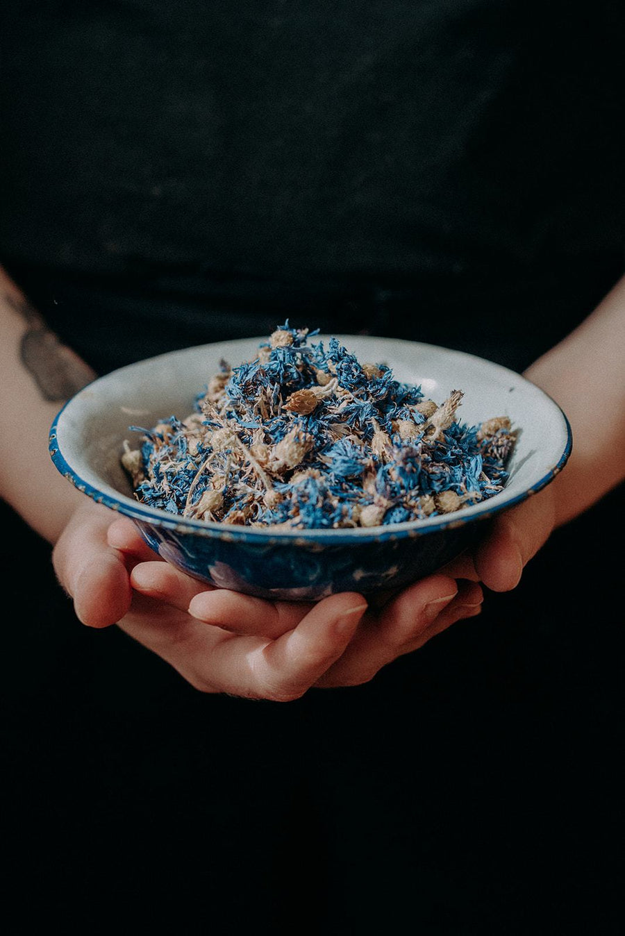 Centaurée bleuet bio - Les Mauvaises Herbes