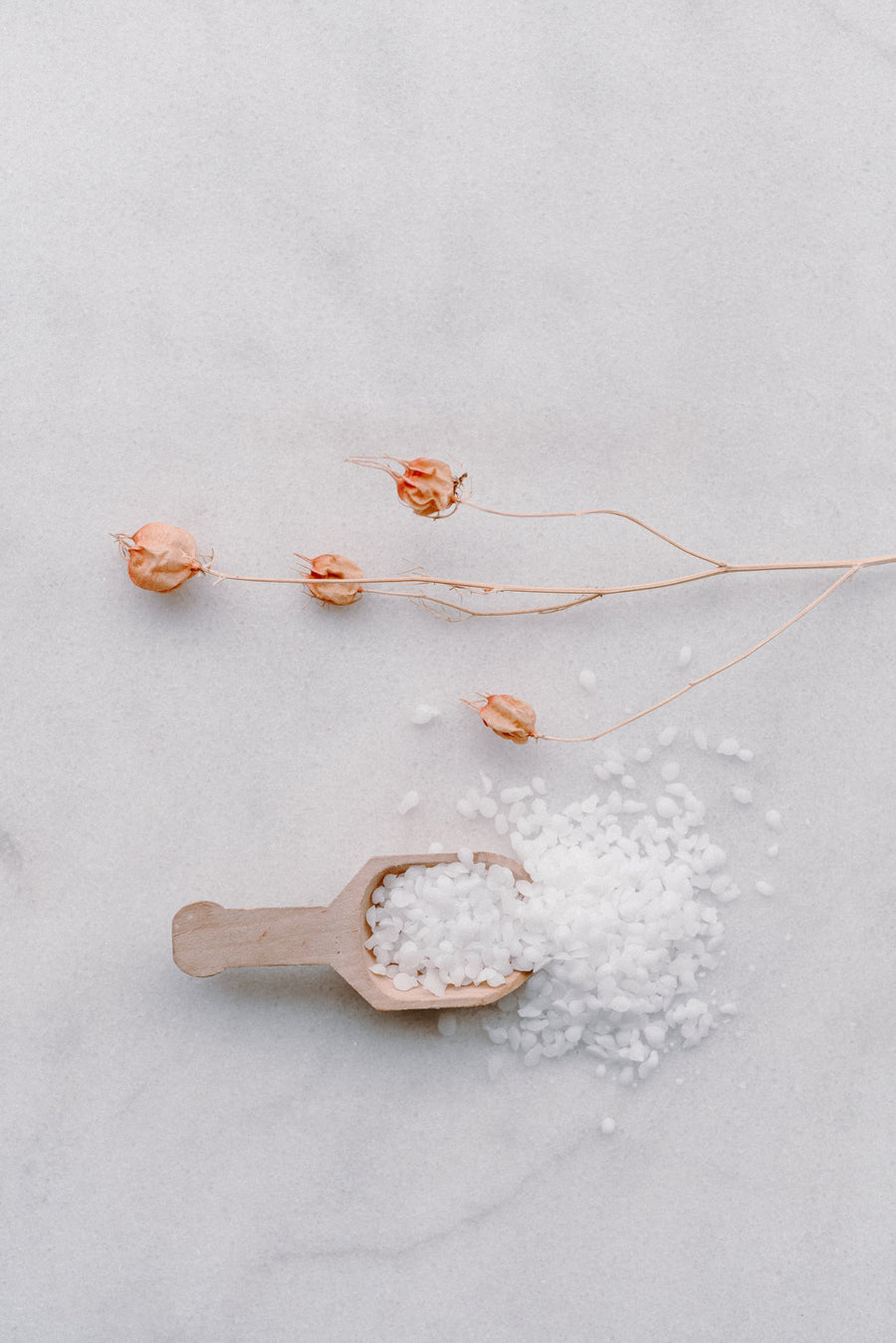 Conditionneur végétal - Les Mauvaises Herbes