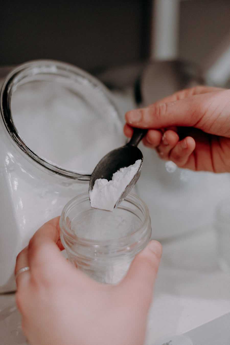 Fécule d'arrow-root bio - Les Mauvaises Herbes