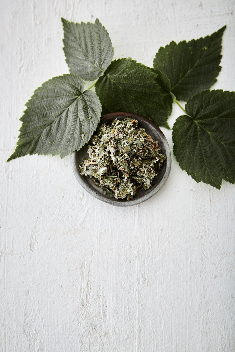 Framboisier bio - Les Mauvaises Herbes