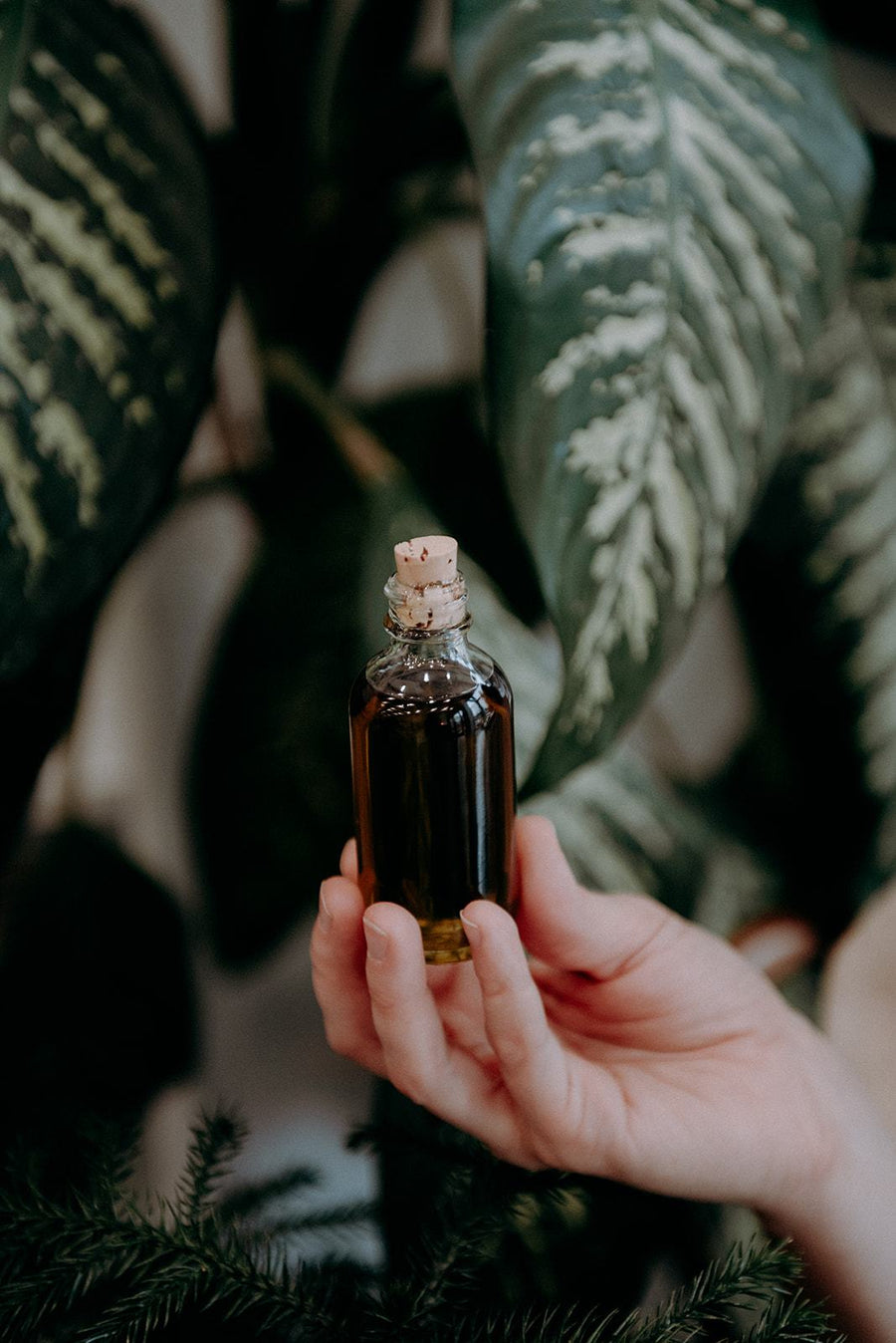 Macérât huileux de camomille - Les Mauvaises Herbes
