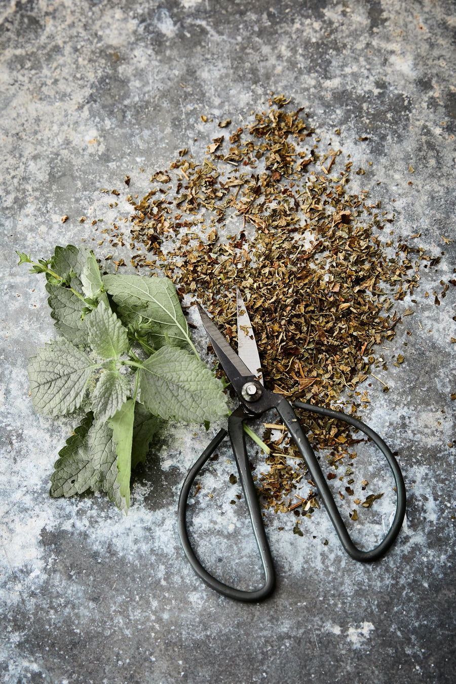 Mélisse bio - Les Mauvaises Herbes