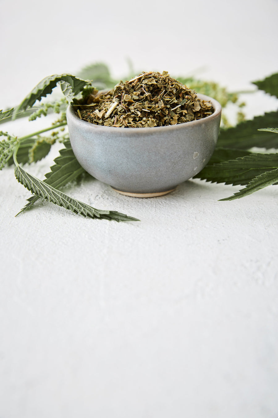 Ortie bio - Les Mauvaises Herbes