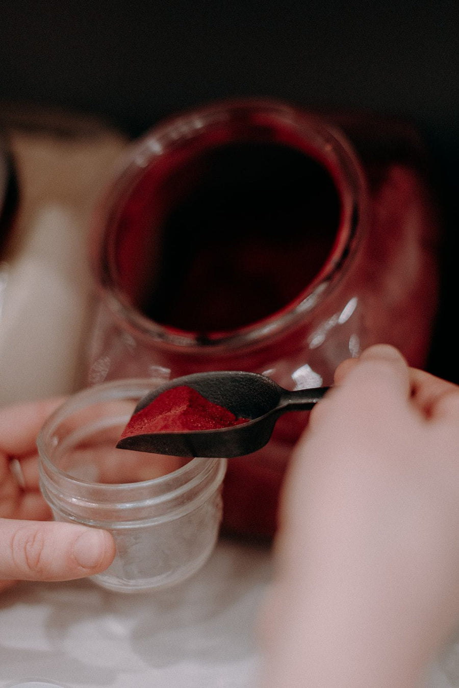 Poudre de betterave bio - Les Mauvaises Herbes