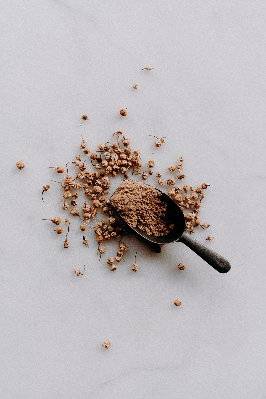 Poudre de camomille bio - Les Mauvaises Herbes