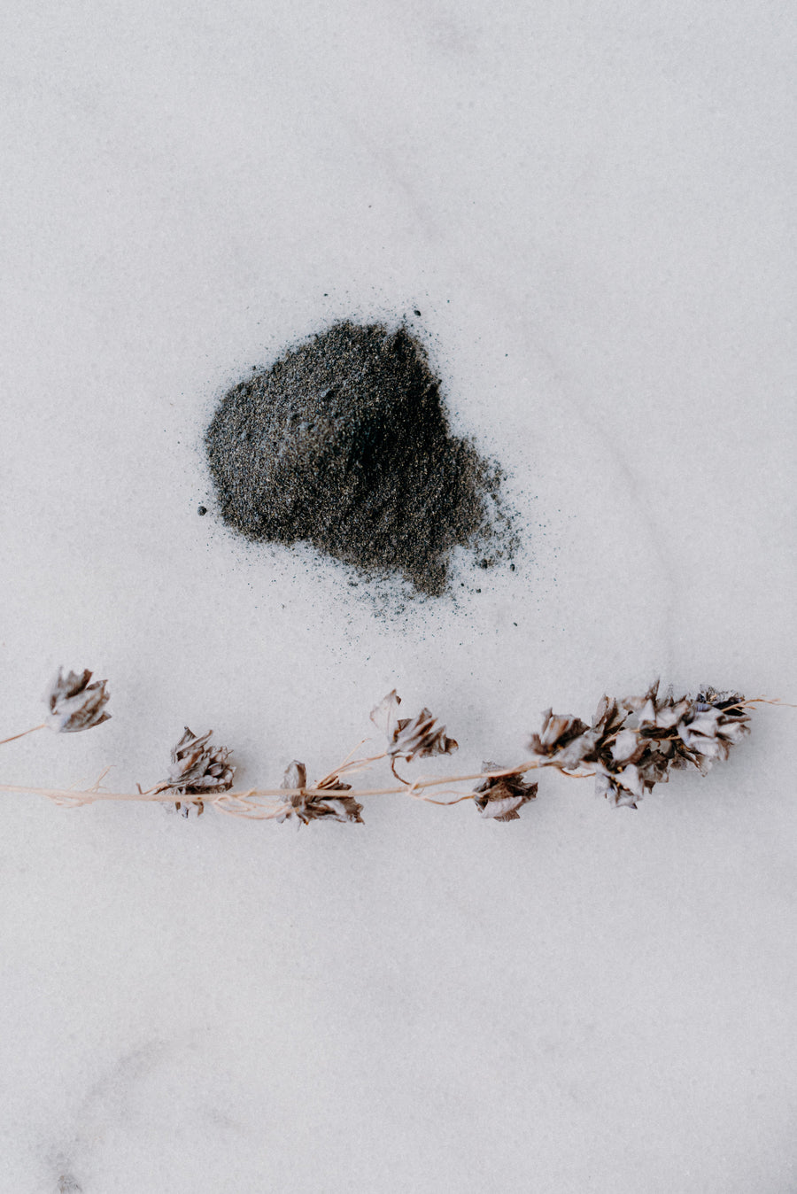 Poudre de pois bleu - Les Mauvaises Herbes