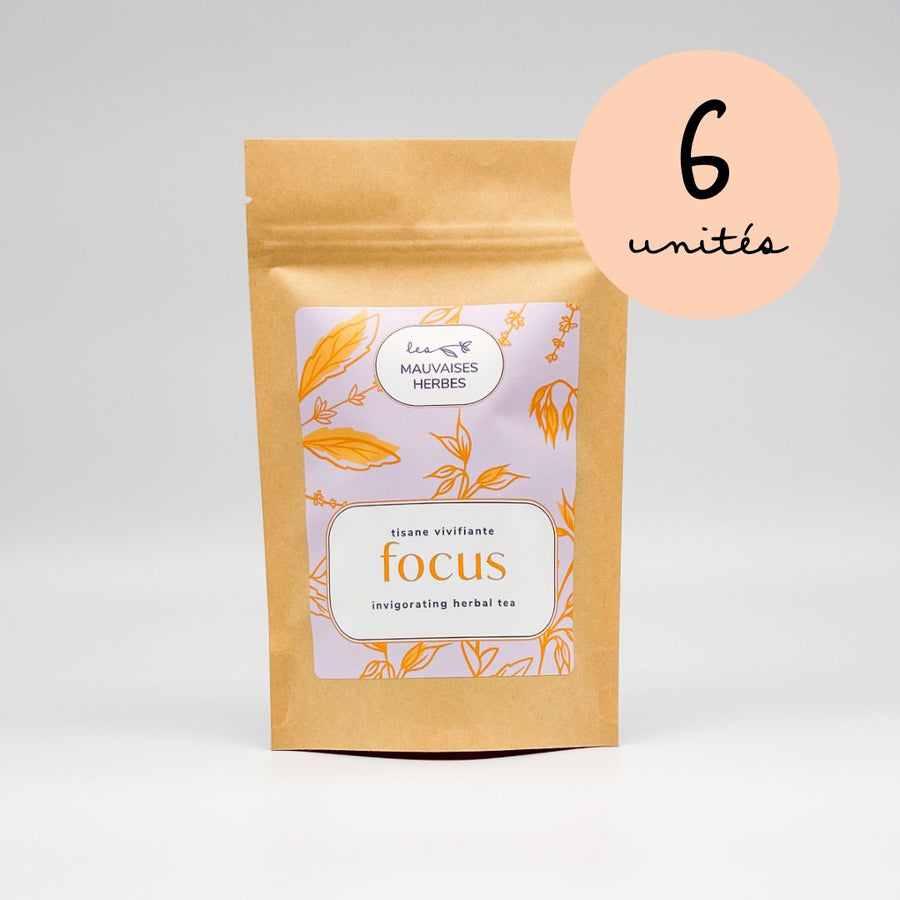 Focus | Tisane vivifiante - WHOLESALE