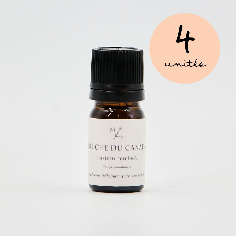 Pruche du Canada - WHOLESALE