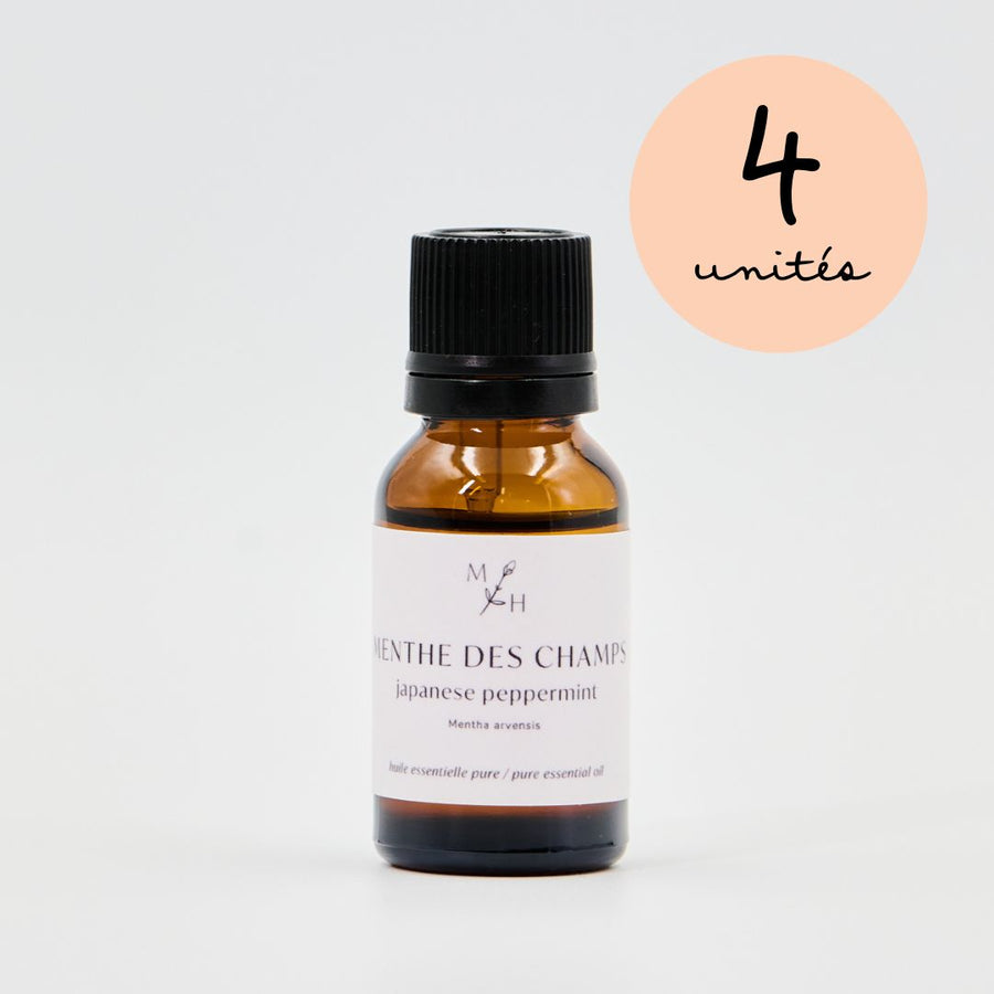 Menthe des champs - WHOLESALE