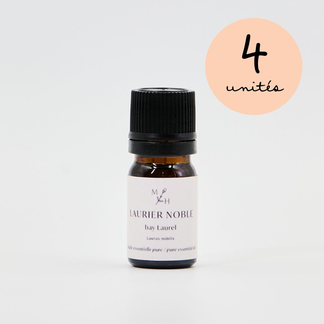 Laurier noble - WHOLESALE