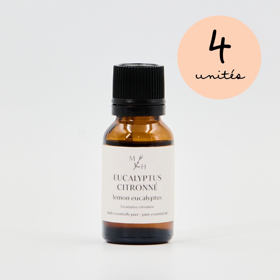 Eucalyptus citronné - WHOLESALE