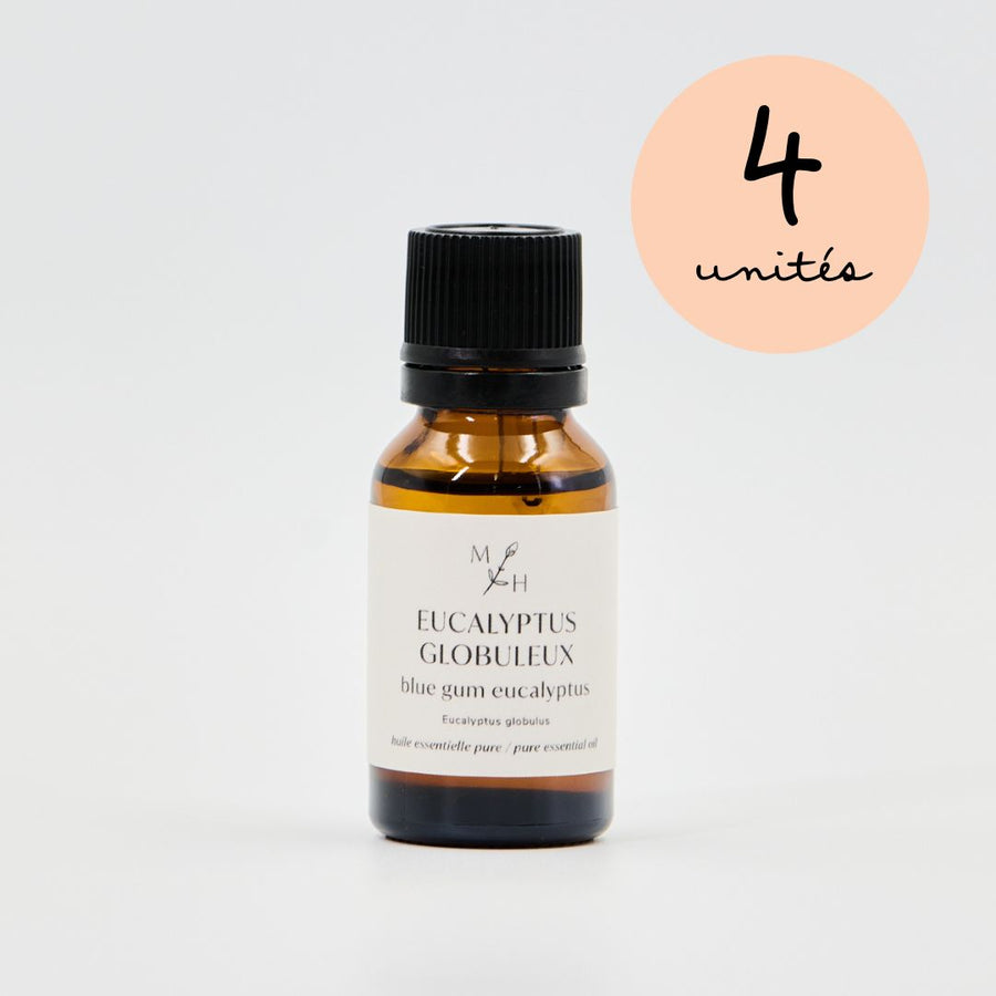 Eucalyptus globuleux - WHOLESALE