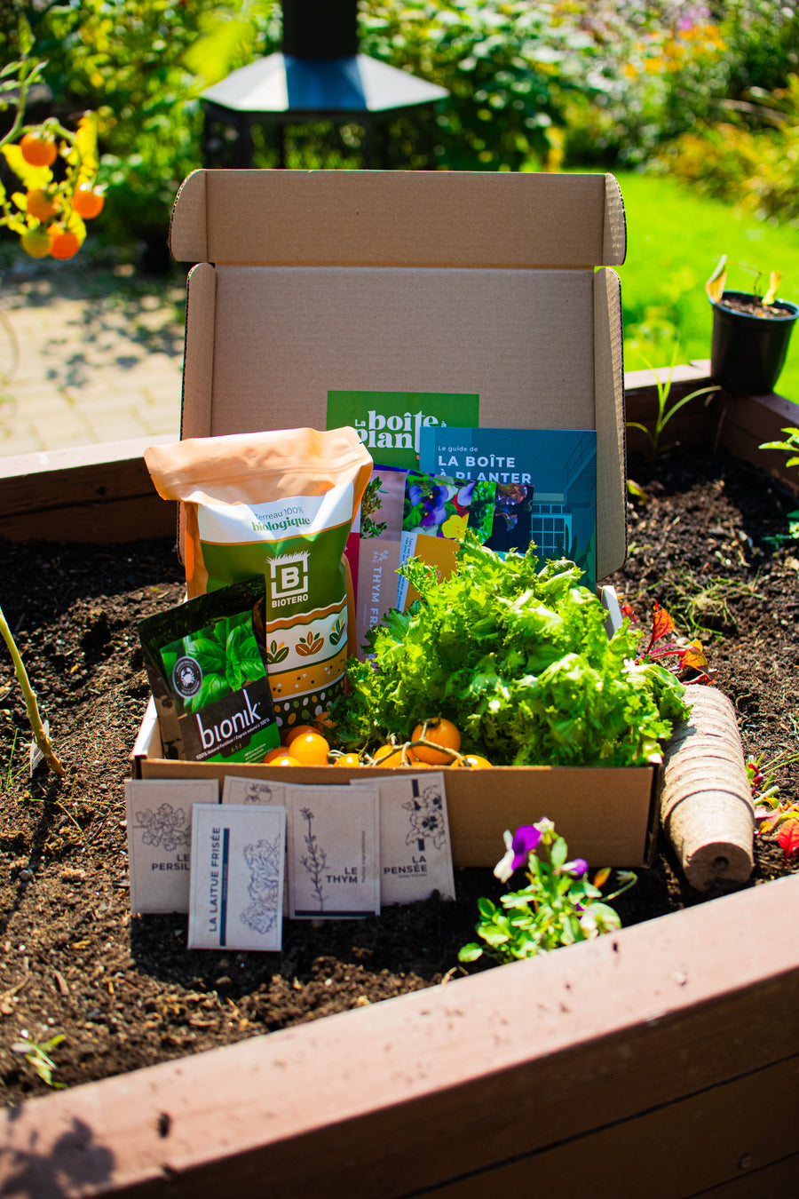 La boîte à planter | La Balconnière