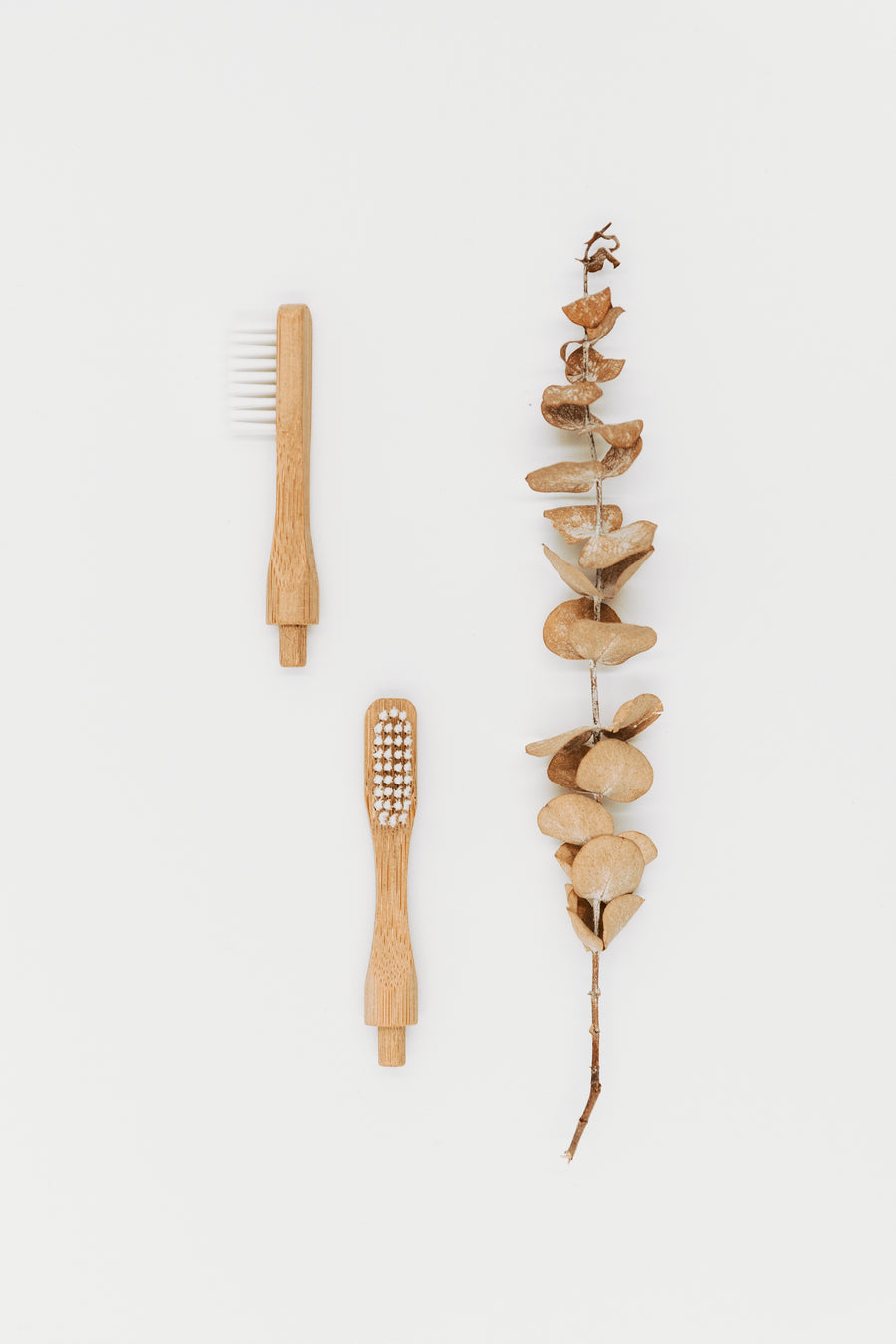 Brosse à dents à tête rechargeable en bambou - Les Mauvaises Herbes