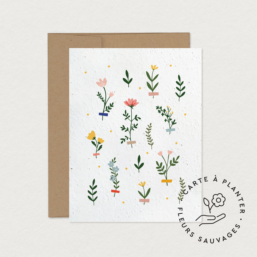 Herbarium | Carte de souhait à planter - POS - Les Mauvaises Herbes