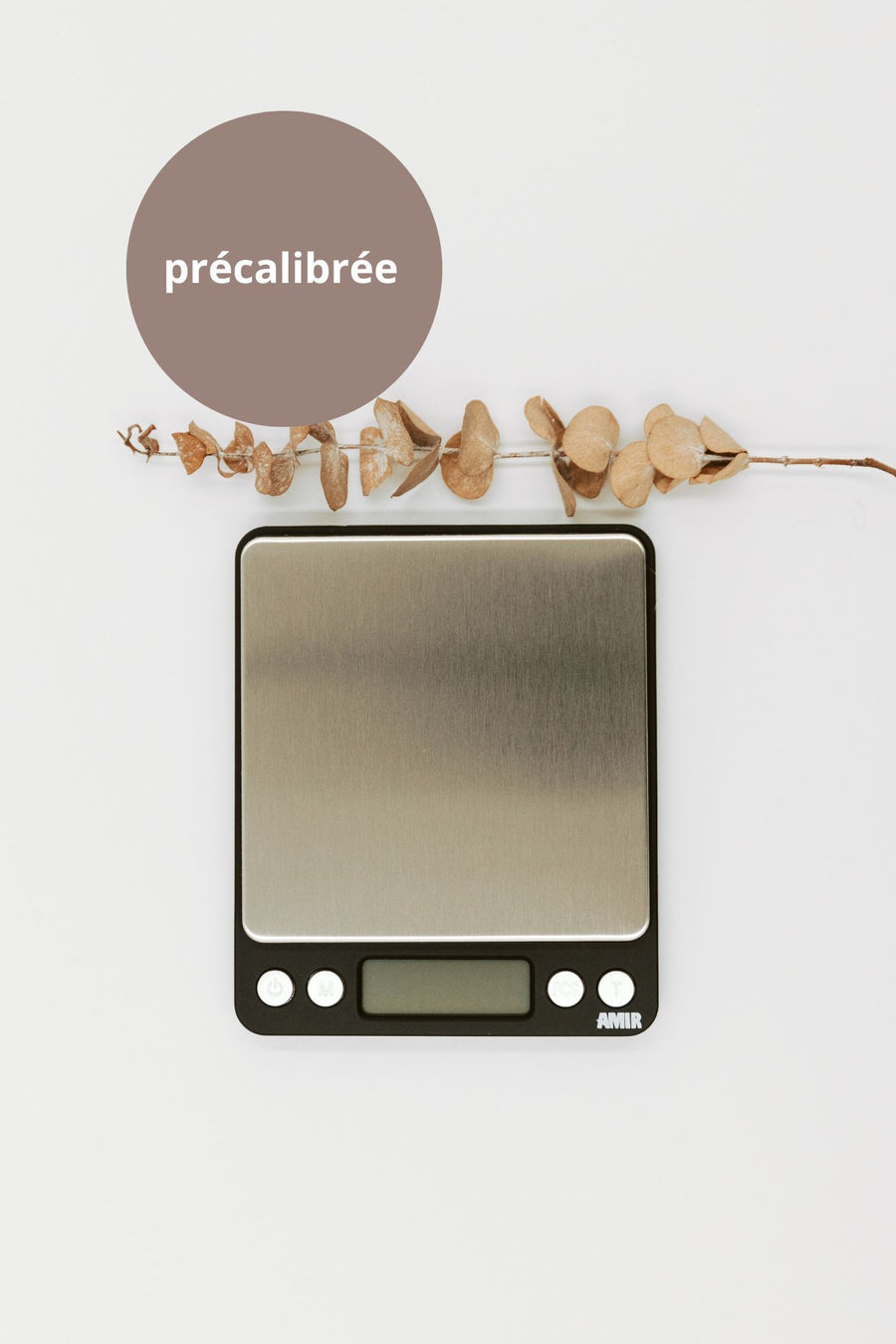 Balance de précision 0,01 g