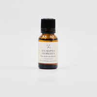 Eucalyptus globuleux - WHOLESALE - Les Mauvaises Herbes