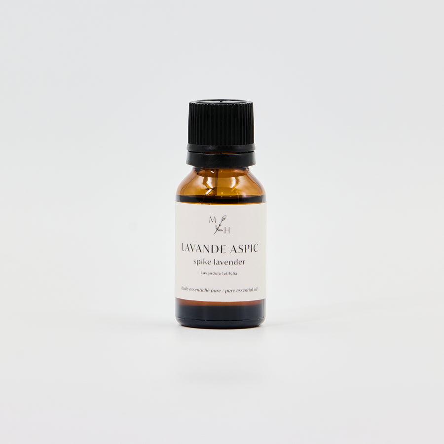 Lavande aspic bio