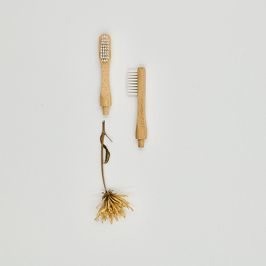 Brosse à dents à tête rechargeable en bambou